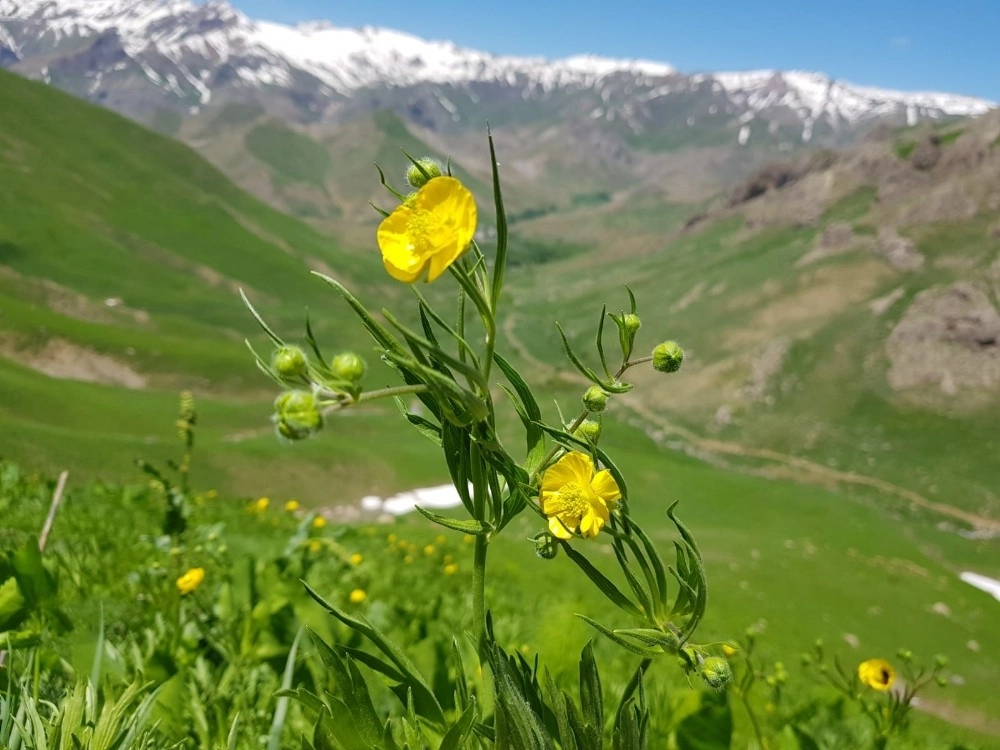 Keşfedilmemiş Doğa Harikaları Göz Kamaştırıyor