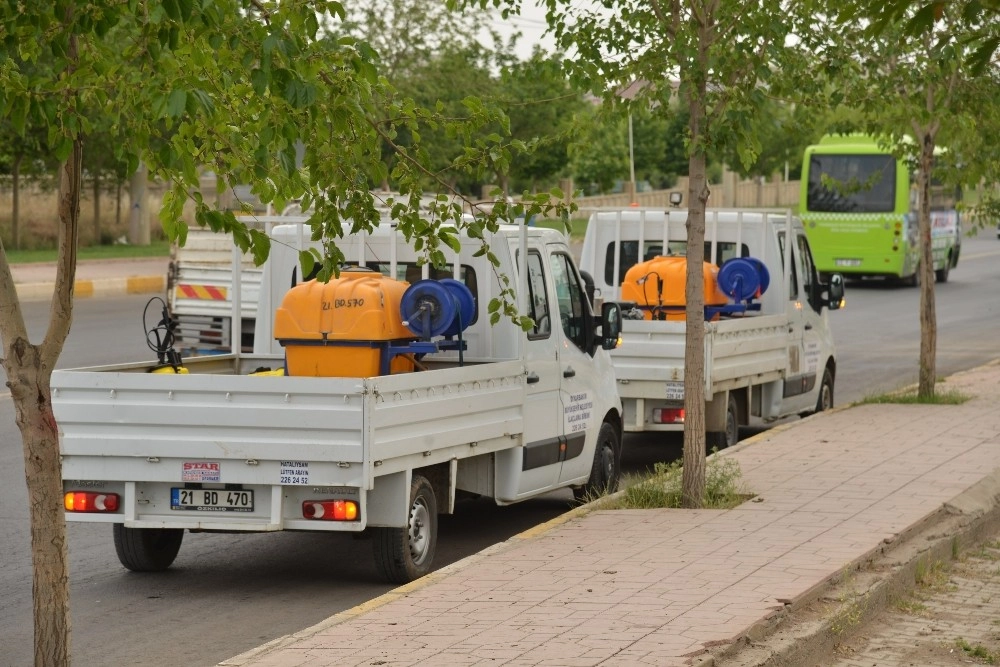 Diyarbakır Büyükşehir Belediyesi, İlaçlama Çalışması Başlattı