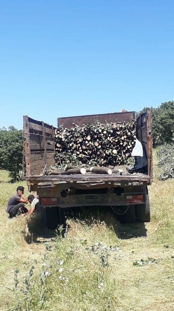 Mardinde Kaçak Odun Kesen 13 Kişi Gözaltına Alındı