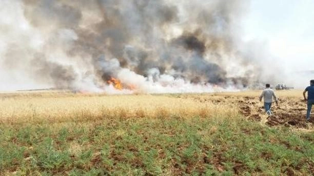 Adıyaman'da Buğday Ve Arpa Tarlaları Küle Döndü