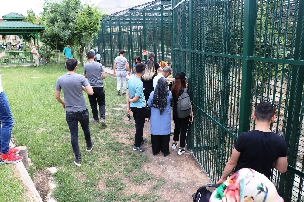 Malatya Hayvanat Bahçesinde Bayram Yoğunluğu