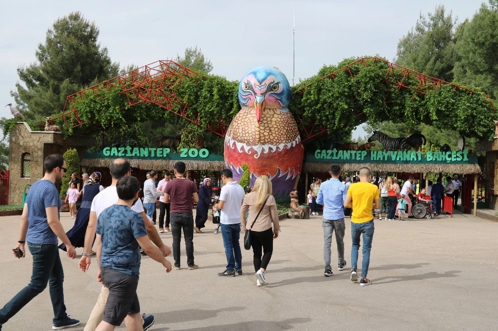 Gaziantep Hayvanat Bahçesine 3 Günde 600 Bin Ziyaretçi