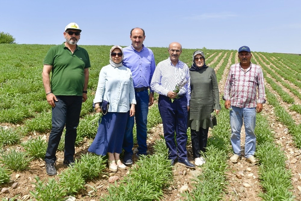 Adanada Tarımsal Ürün Çeşitliliği Artıyor