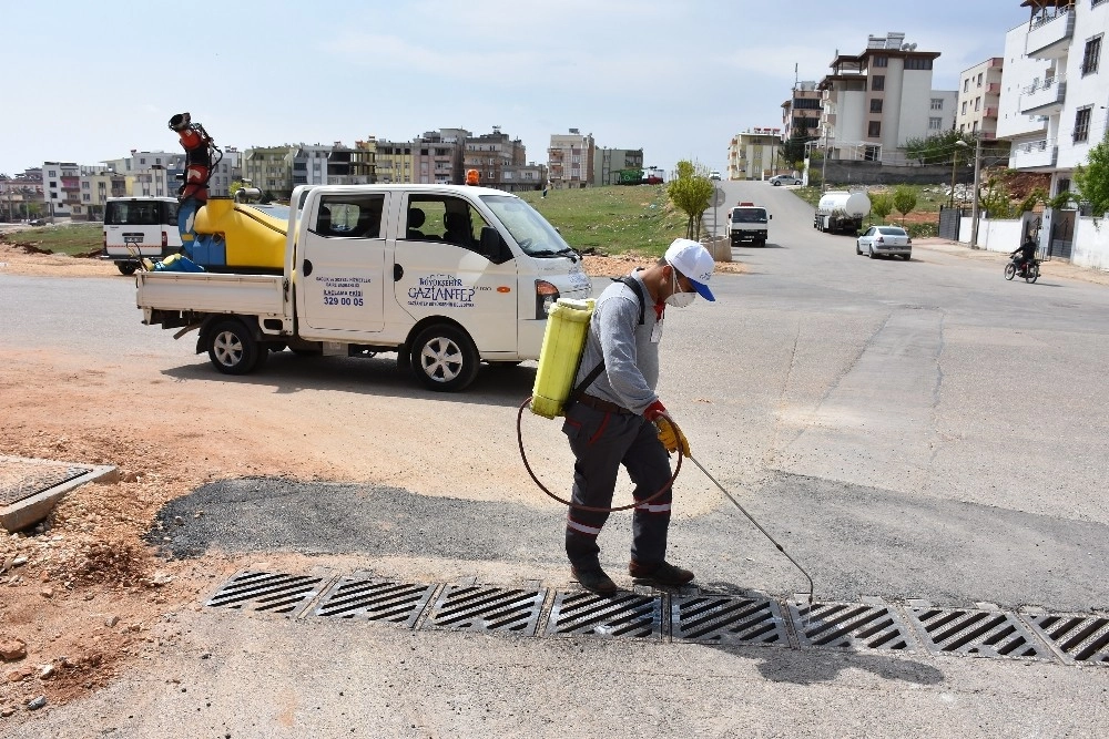 Büyükşehir, İlaçlama Çalışmalarına Hız Verdi