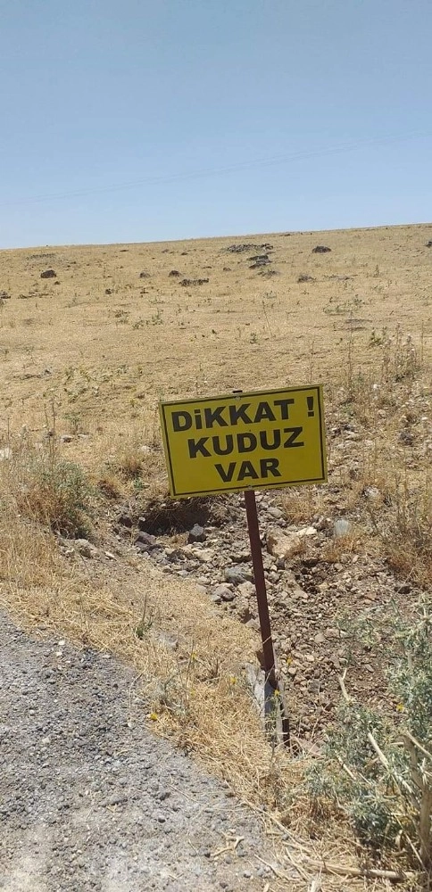 Köpek Kuduz Çıktı, Köy Karantinaya Alındı