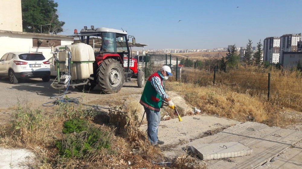 Karaköprüde Haşere Ve Sivrisinek Mücadelesi Sürüyor