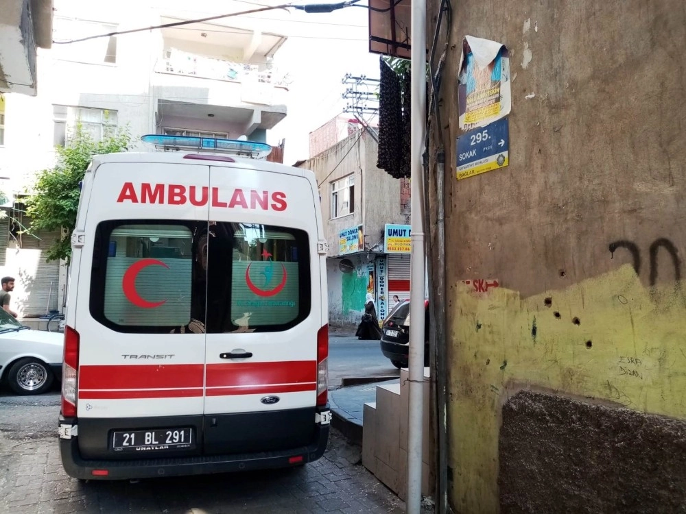 Evde Yabancı Birini Görünce Dehşet Saçtı