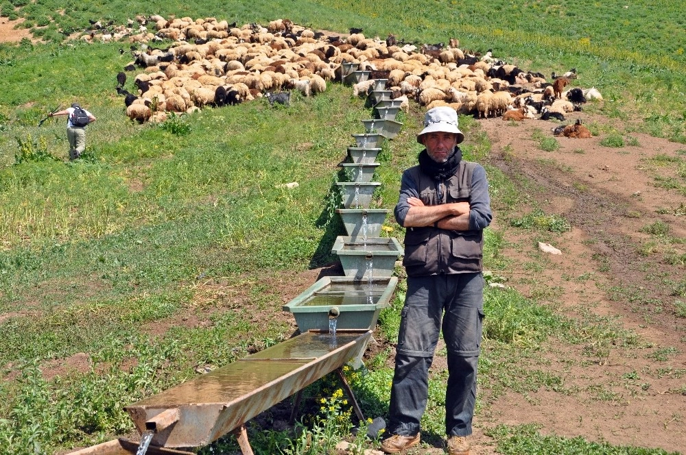 İrandan Gelip Yüksekovada Ayda 3 Bin 400 Tlye Çoban Oldu