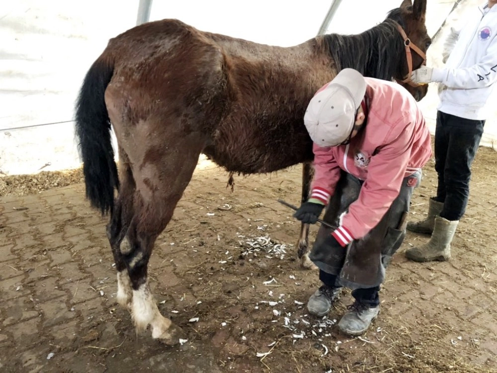 Zeyna, 9 Ay Sonra Yaşama 4 Nala Sarıldı