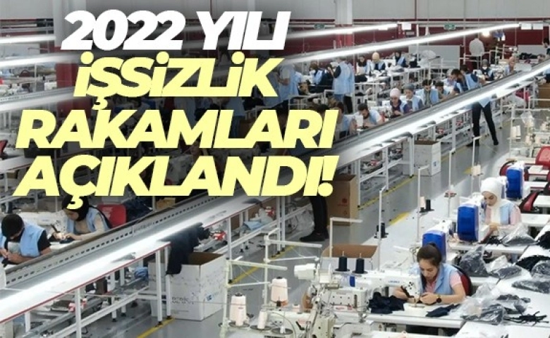 İşsizlik oranı 2022 yılında yüzde 10,4 oldu