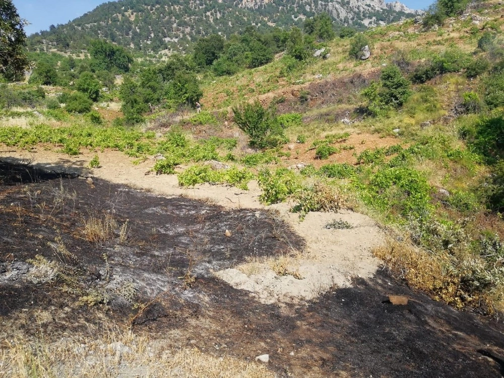 Semaverden Yangın Çıktı