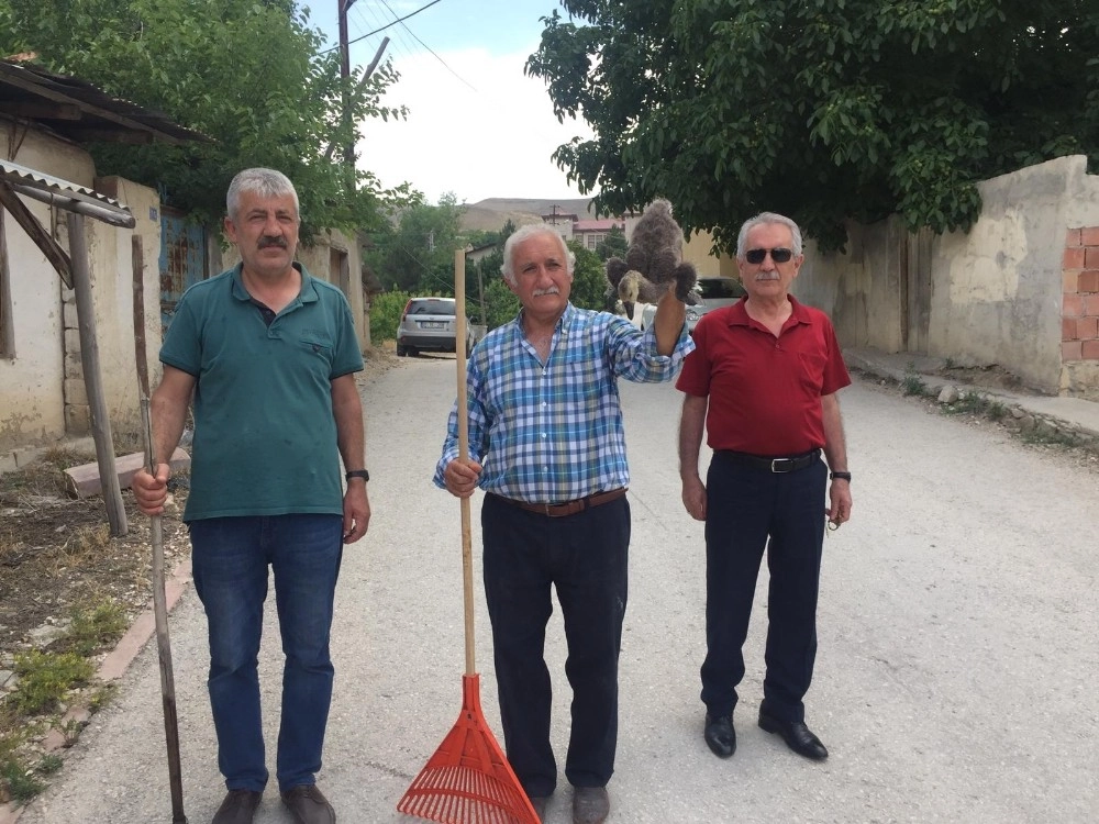 Mahalleliler Sulama Kanalına Düşen Kaz Yavrusu İçin Seferber Oldu