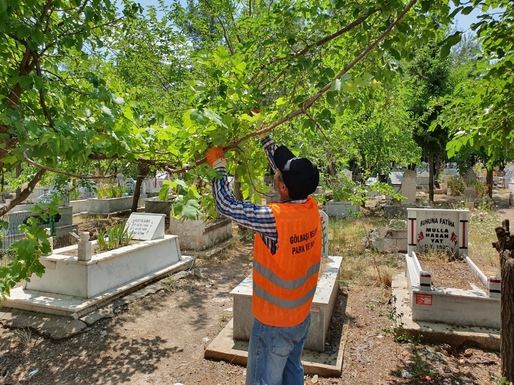 Gölbaşı Belediyesi Hummalı Çalışmalarını Sürdürüyor