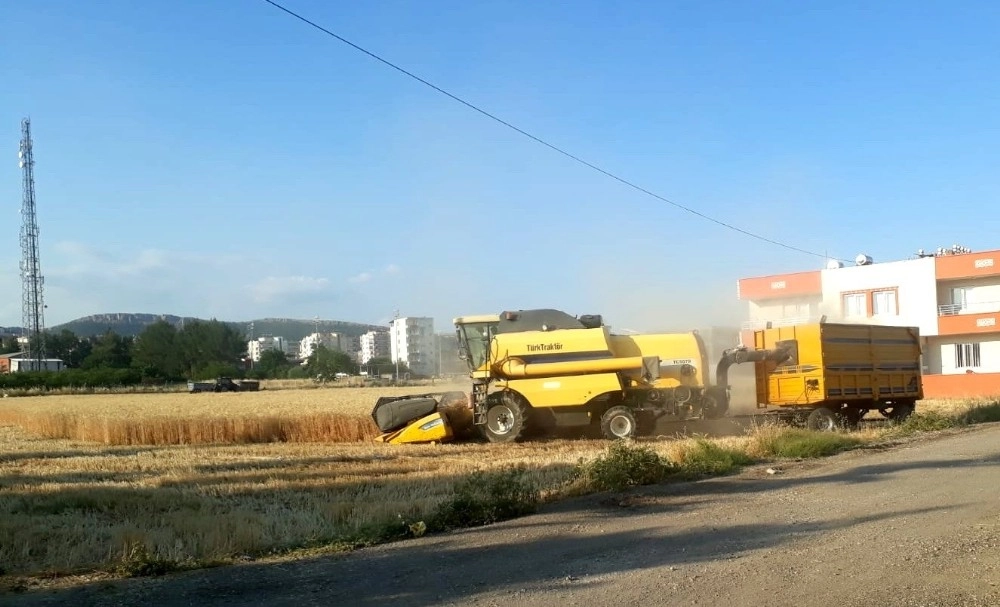 İmar Alanı İçindeki Hububat Hasadı Vatandaşı Rahatsız Ediyor