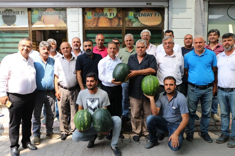 Karpuzun Fiyatı, Çiftçinin Yüzü Düştü