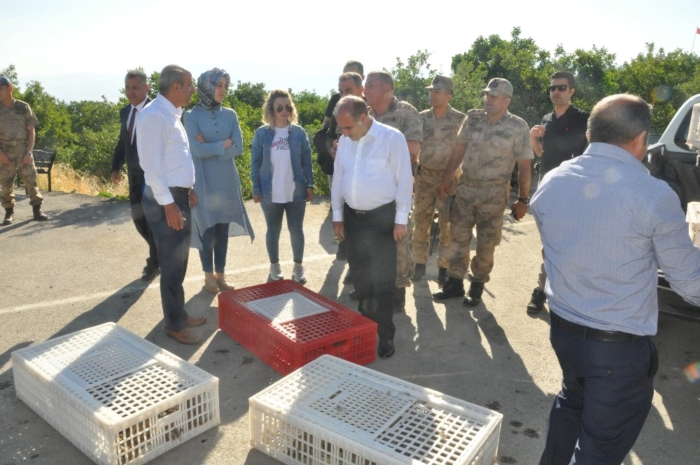 Şırnakta Doğaya 2 Bin Keklik Salındı