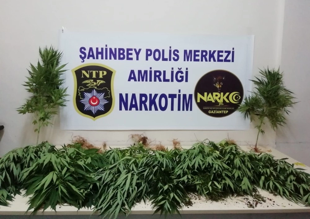 Polis Uyuşturucu Tacirlerine Göz Açtırmıyor