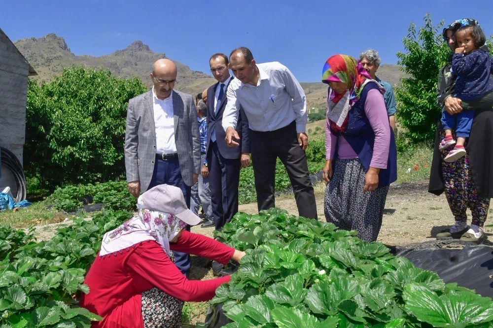 Vali Demirtaş: "adananın Tarımsal Potansiyeli İyi Değerlendirilmeli"