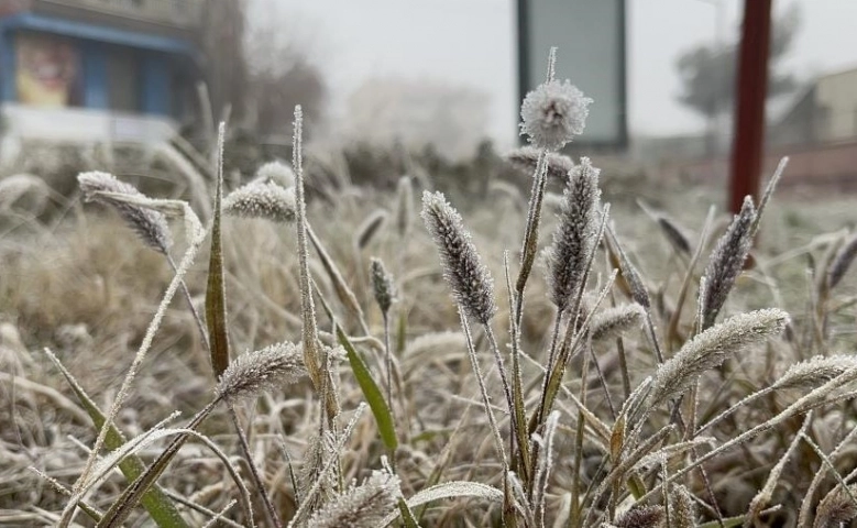 Meteorolojiden zirai don uyarısı