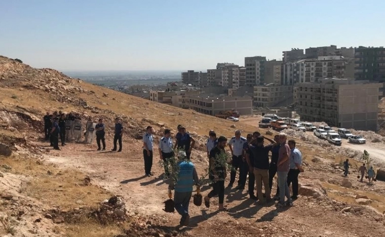 Şanlıurfa'da kaçak yapılar yıkılacak