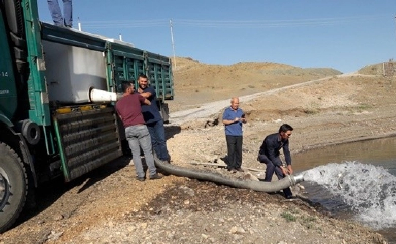 Adatepe ve Kandil Barajlarına yavru balık bırakıldı