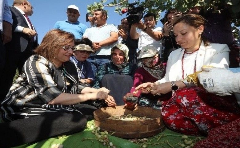 Gurme ve gastronomi yazarları ile Antepfıstığı  topladı