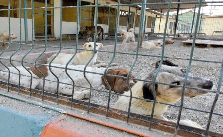 Tarsus Belediyesinde örnek çalışma