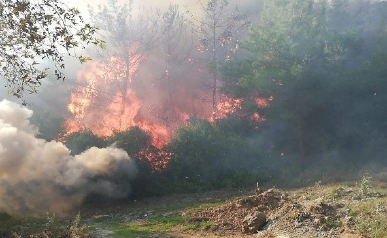 Osmaniye'deki orman yangınını söndürme çalışmaları sürüyor