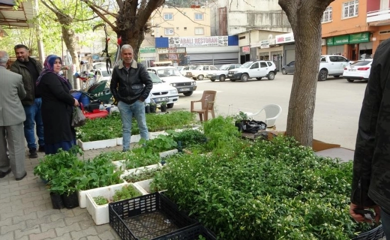 Vatandaş kendi sebzesini Bahçesinde yetiştirecek