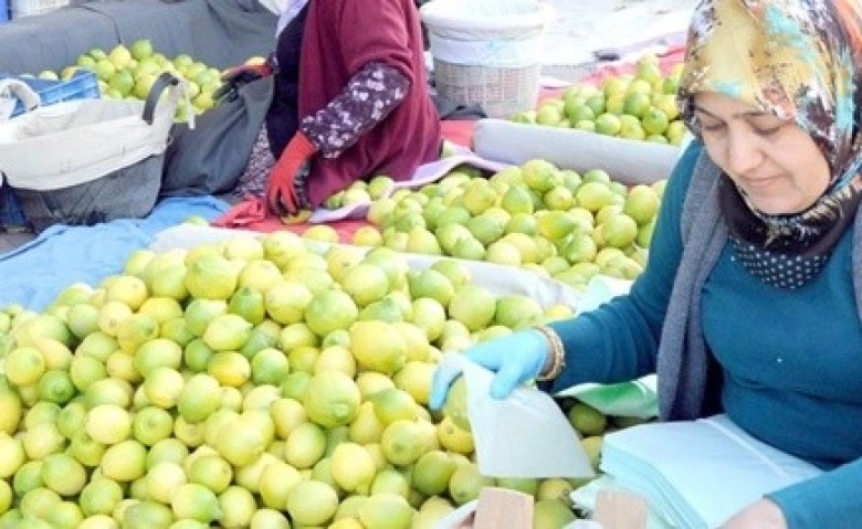 Lamas limonu coğrafi işaret tescil belgesi aldı