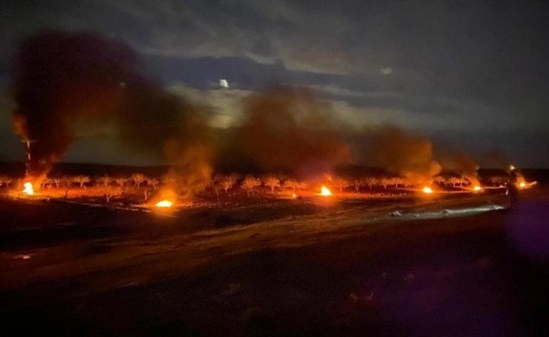 Şanlıurfa'da çiftçiler don olayına karşı ağaçlarını,ateş yakarak korudu