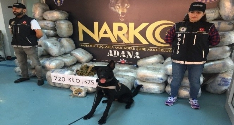 Adana'da 721 kilo esrar ele geçirildi