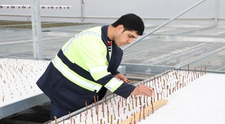 Şehitkamil 'de bir makineyle 200 bin tohum direkt toprakla buluşuyor