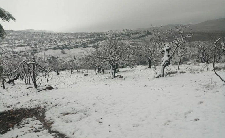 Gaziantep’in Araban ilçesine kar yağdı