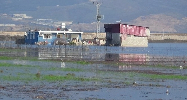 Hatay'ın Amik Ovası'nda evler ve tarım arazileri sular altında kaldı