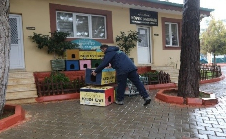 Gaziantep'te  Sokak kedileri kışın üşümeyecek