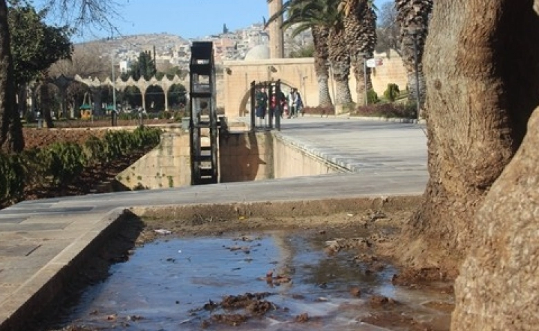 Şanlıurfa eksi dereceyi görünce süs havuzları buz tuttu