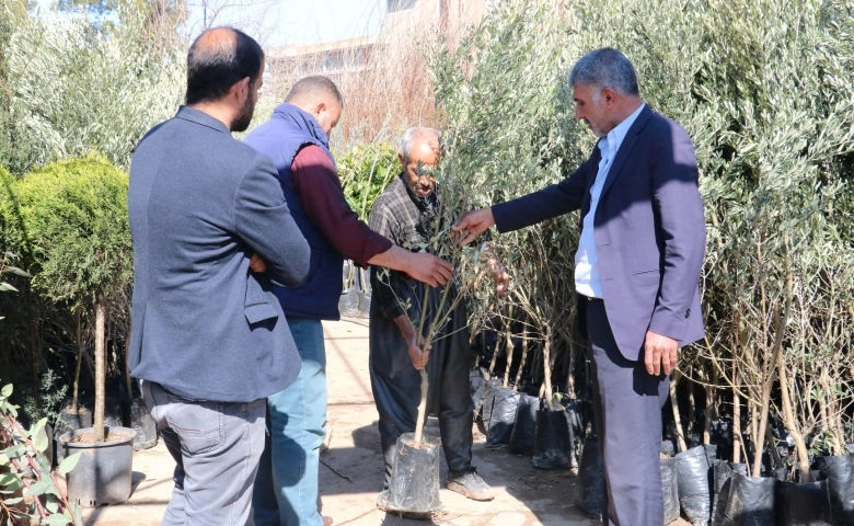 Şanlıurfa’da fidan dikimine başlandı