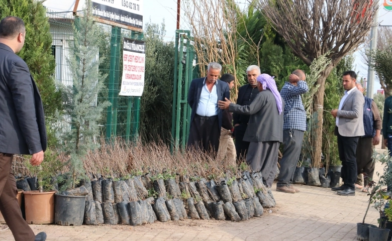 Şanlıurfa'da Antep fıstığı savaşı kızıştı