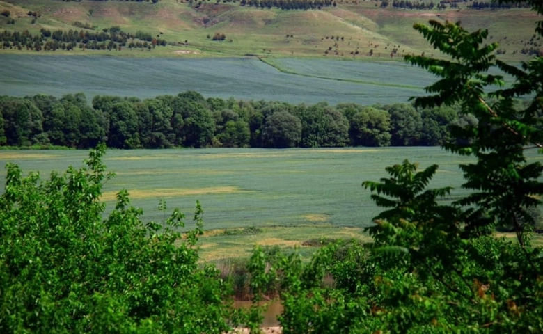 Dicle Irmağı’na, Hewsel Bahçelerine dokunmayın