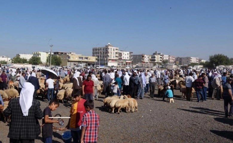 Şanlıurfa Viranşehir’de hayvan pazarı kapatıldı