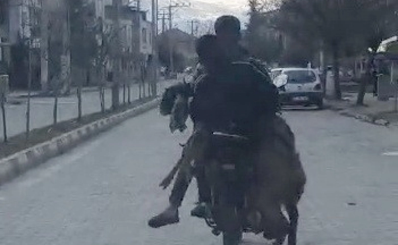 Gölbaşı'da Motosiklette 2 keçi, 2 insan