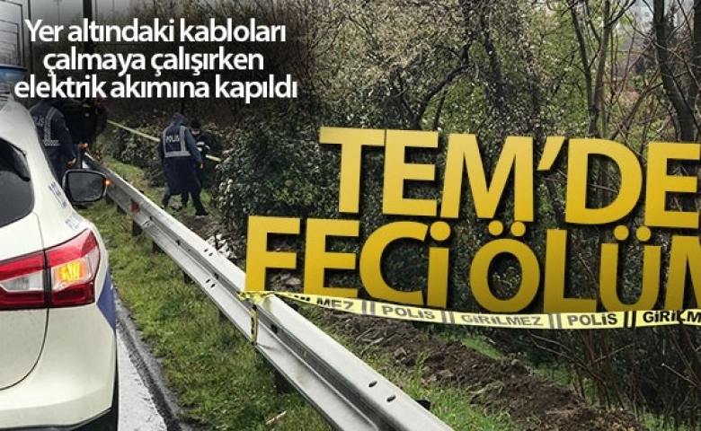 TEM Otoyolu kenarında feci ölüm