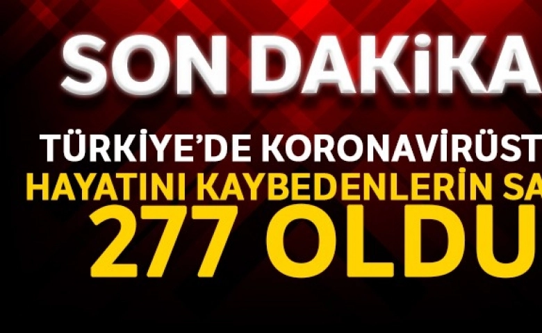 Ölü Sayısı 277 Oldu