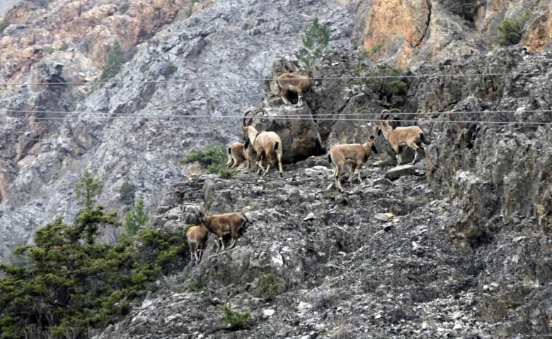 Dağlarının en ihtişamlı süsü