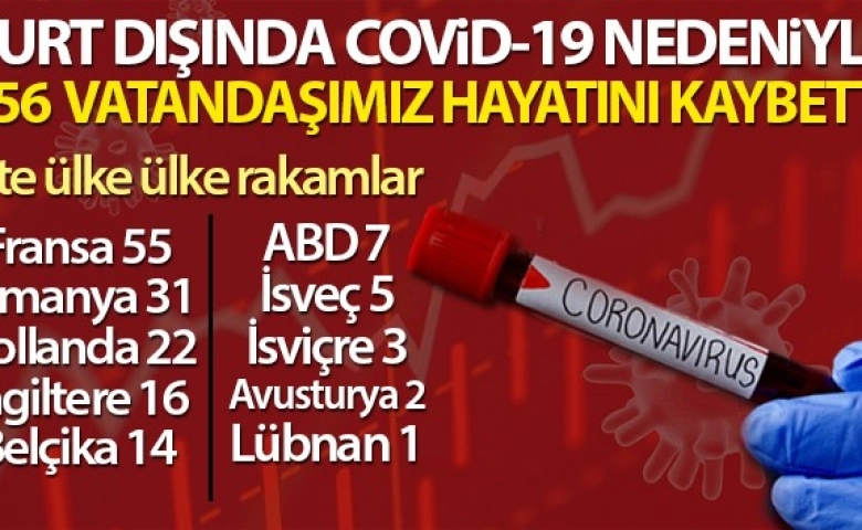 Yurt dışında 156 Türk vatandaşı öldü