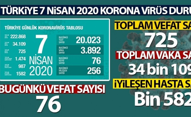 Türkiye’de ölenlerin sayısı 725, vaka sayısı 34 bin 109