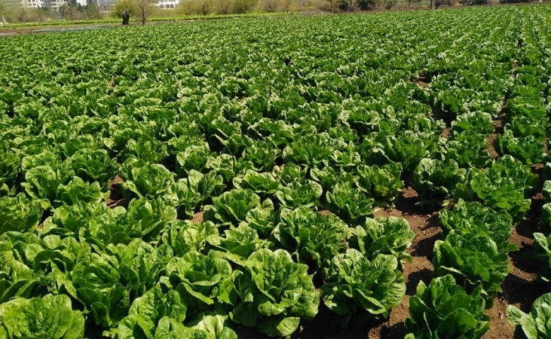 Kilisli çiftçiler ÇKS belgesi ile arazilerine gidebilecek