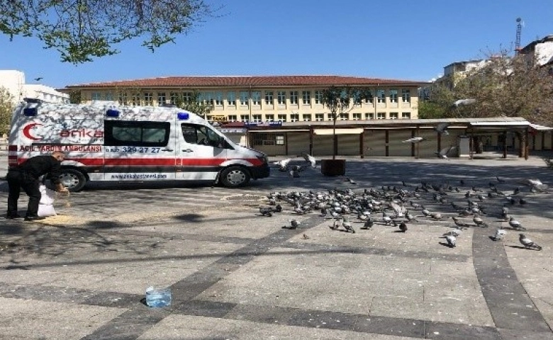 Gaziantep’te ANKA ve CAHİDE Sokak hayvanlarını besledi