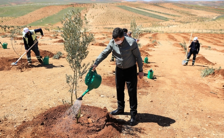 Şehitkamil'de sosyal mesafe kuralı ile 4 bin 100 fidan dikildi